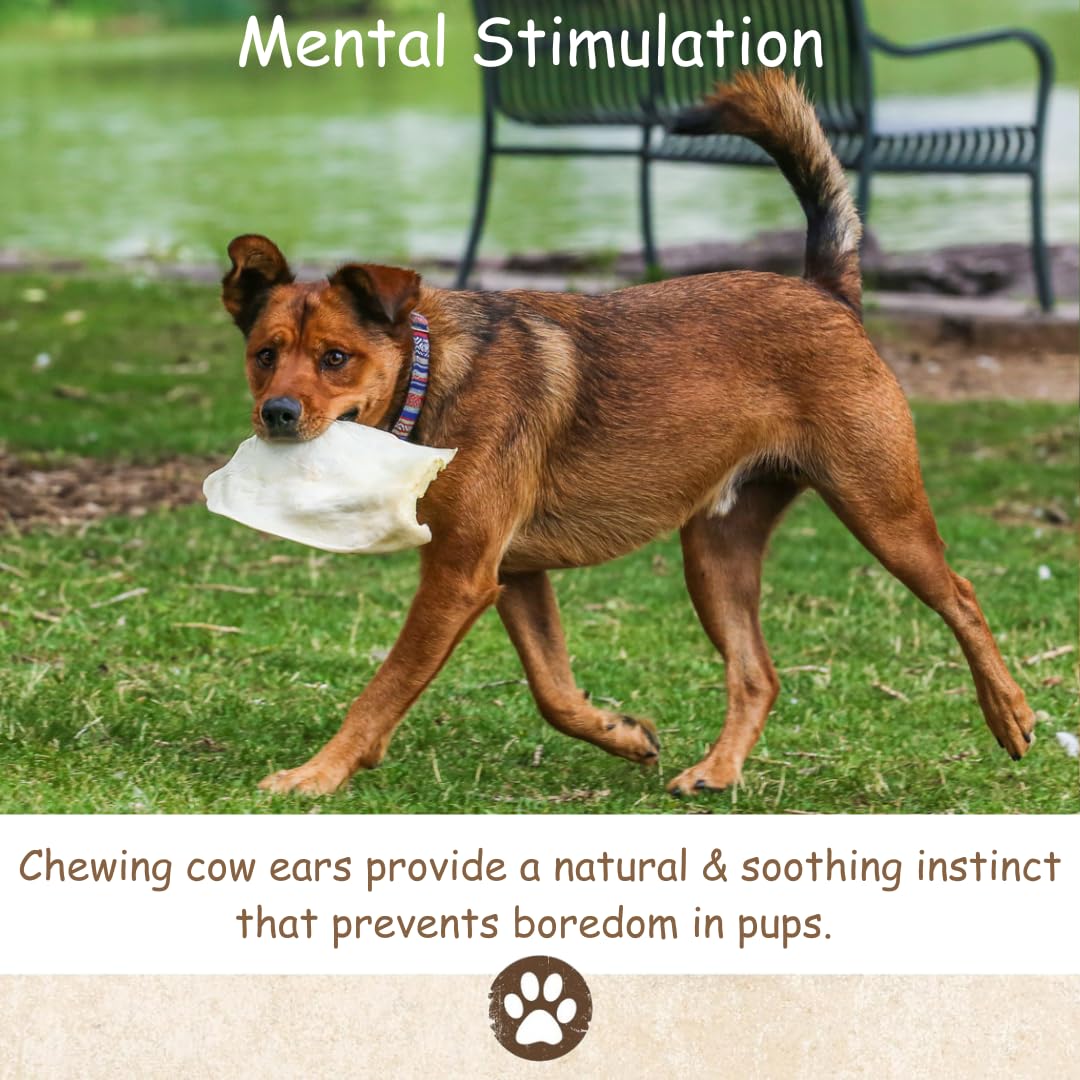Top Dog Chews orejas de vaca gruesas, snack proteico para más energía