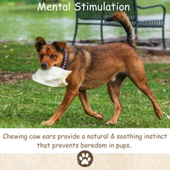 Top Dog Chews orejas de vaca gruesas, snack proteico para más energía