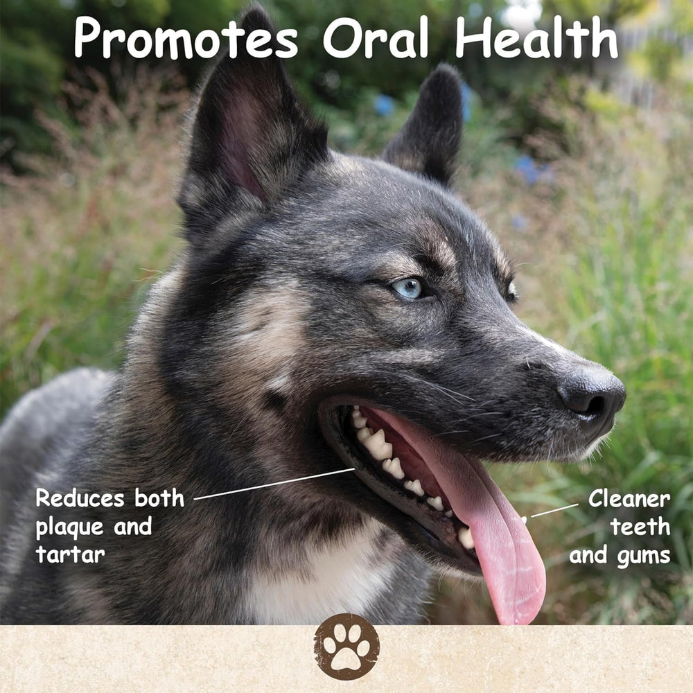 Top Dog Chews orejas de vaca gruesas, alternativa al cuero crudo