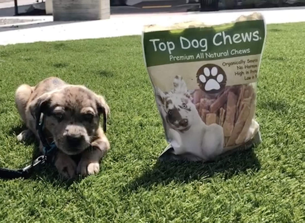 Top Dog Chews tendones de pavo planos, hecho en EE.UU. con calidad natural