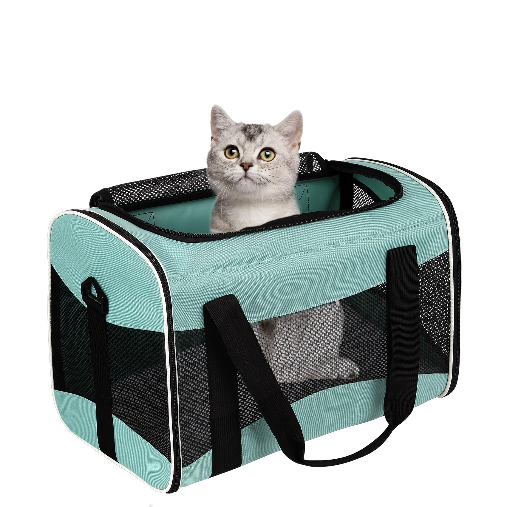 Top Tasta cama de lana desmontable para mayor confort durante el viaje.