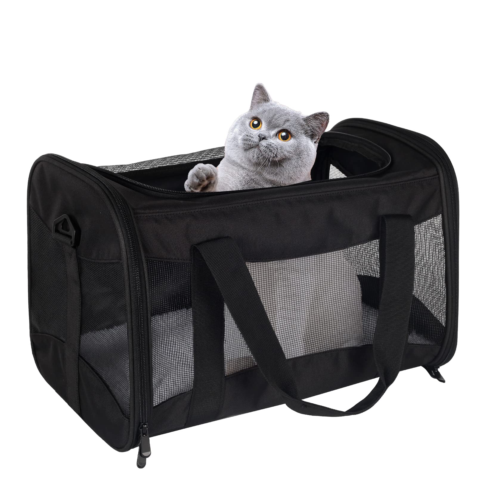 Top tasta transportín gato, aire aprobado, ideal para cabina de avión.