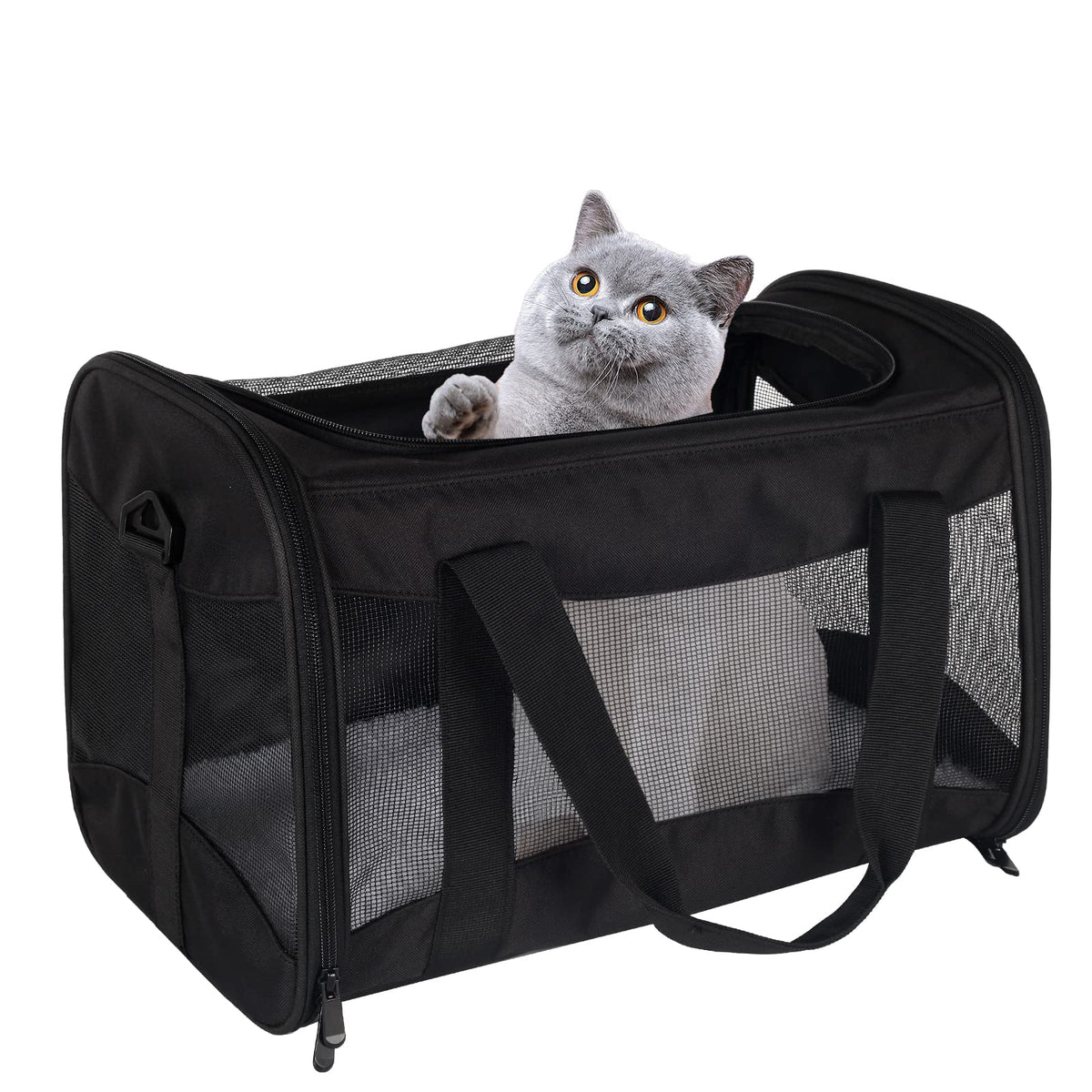 Top tasta transportín gato, aire aprobado, ideal para cabina de avión.