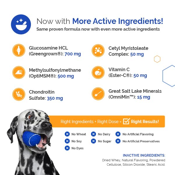 TopDog Health GlycanAid: ingredientes clave glucosamina, MSM y condroitina.