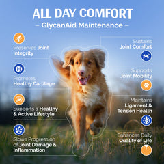 TopDog Health GlycanAid: tabletas masticables sabor carne para perros.