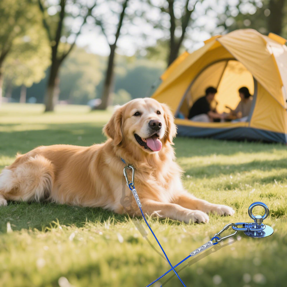 Acampada con TOPKNOT, seguridad y libertad para perros al aire libre.