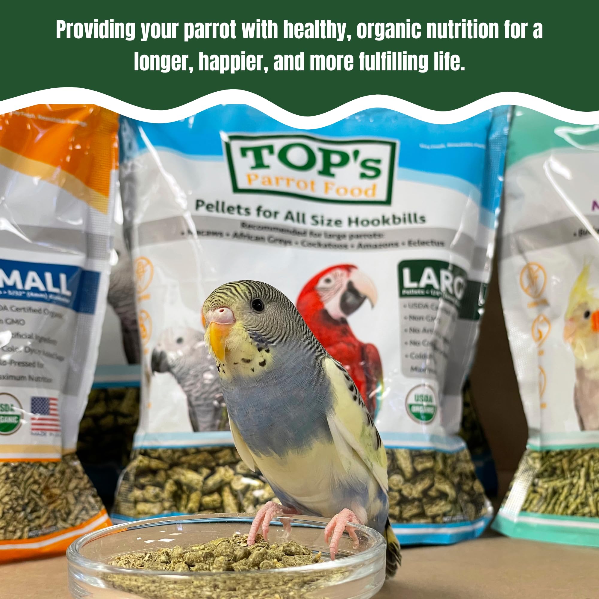 TOP's Parrot Food Mini Granulos sin maíz ni OGM, opción más limpia