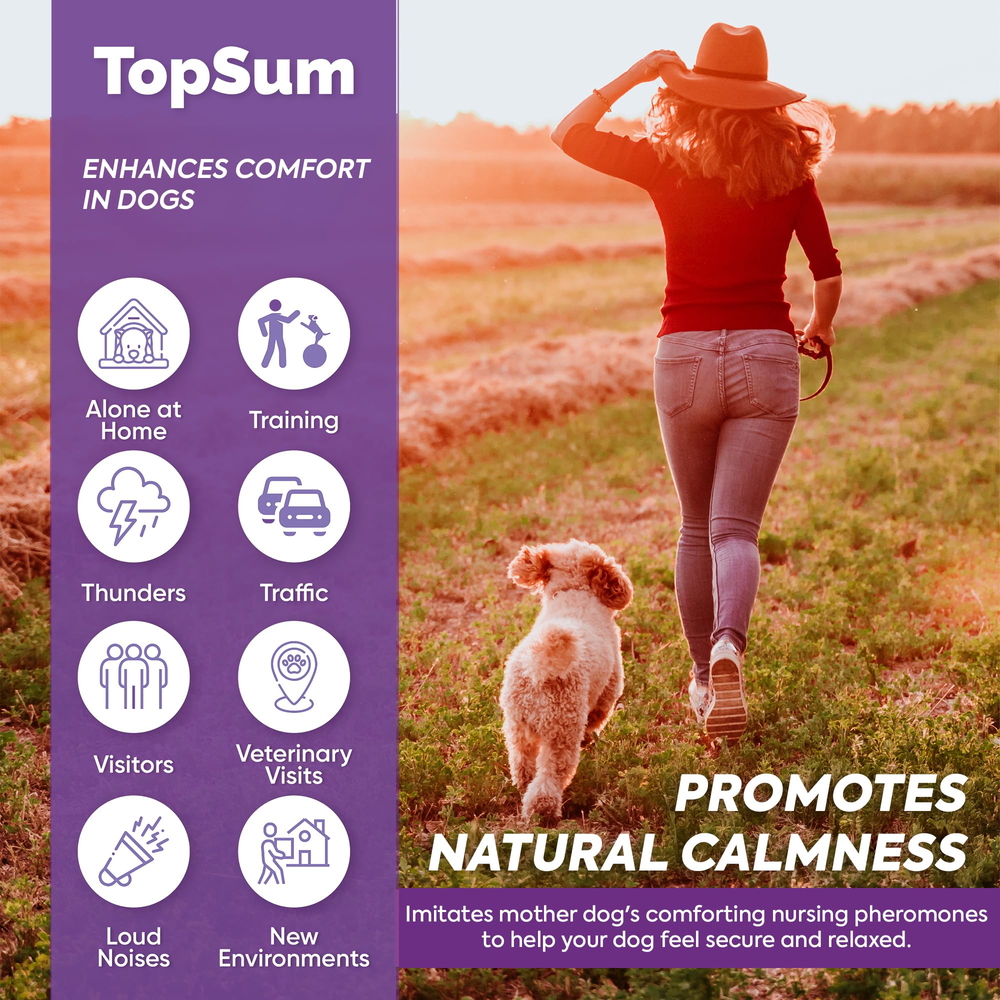 TopSum kit de 3 difusores y recargas para mayor valor