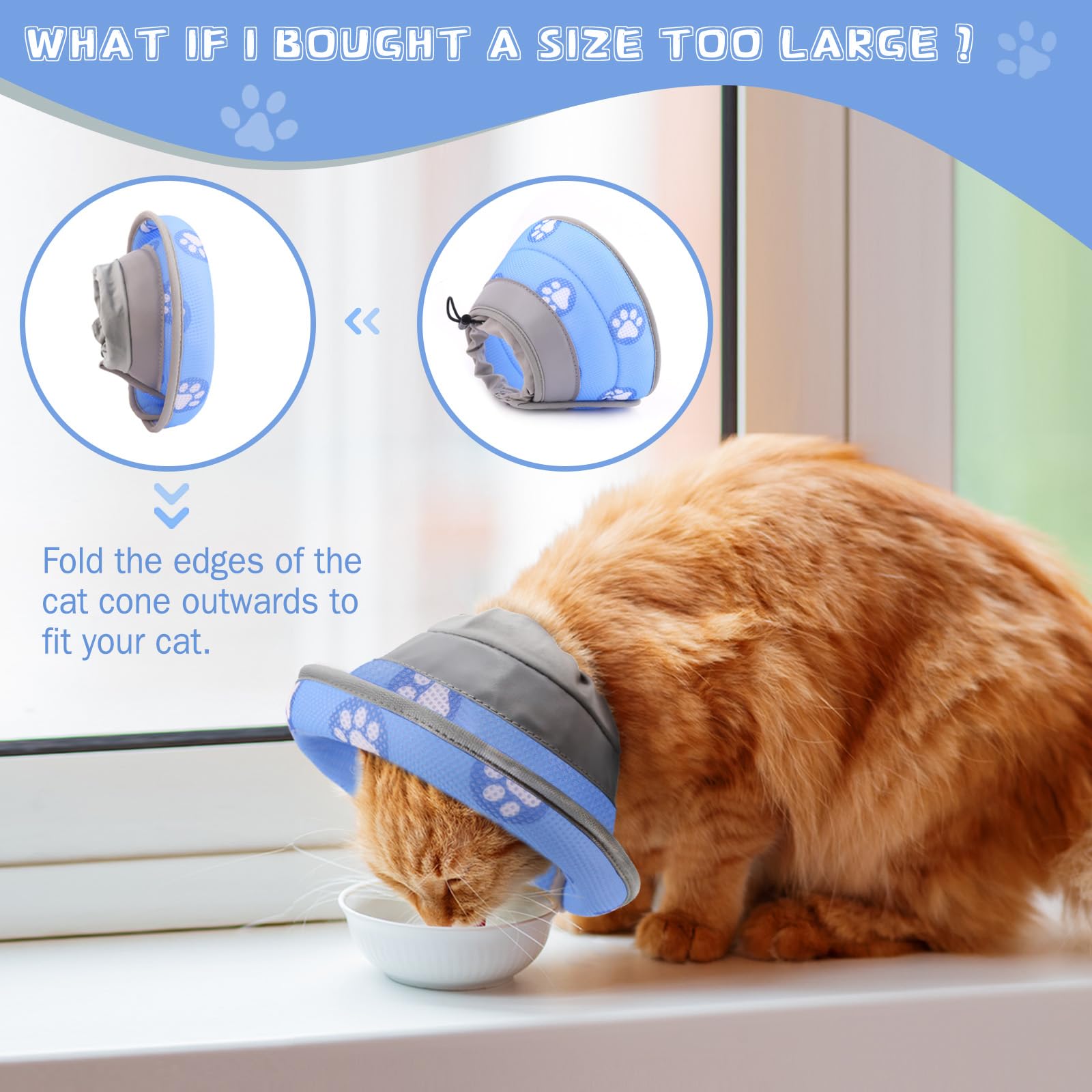 Bordes plegables respetan la visión del gato durante juego