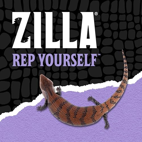 Tortuga terrestre alimentándose con Zilla, vitaminas para crecimiento.