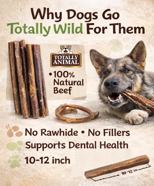 Totally Animal Palitos de res para perro, tamaño 5-6 pulgadas para perros grandes