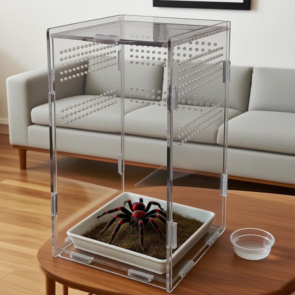 TOTZLIAN uso amplio: ideal para insectos, reptiles trepadores y transporte.