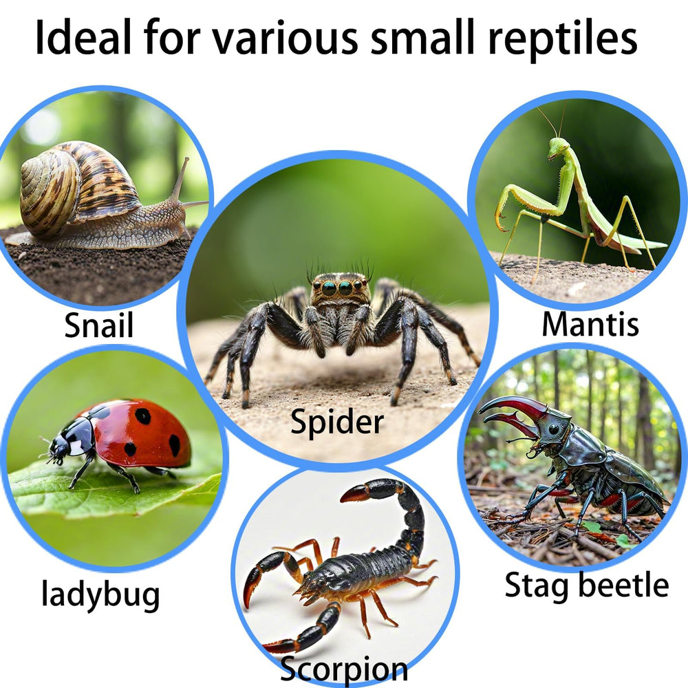 Totzlian jaula para insectos y aracnidos, portátil y fácil de limpiar.