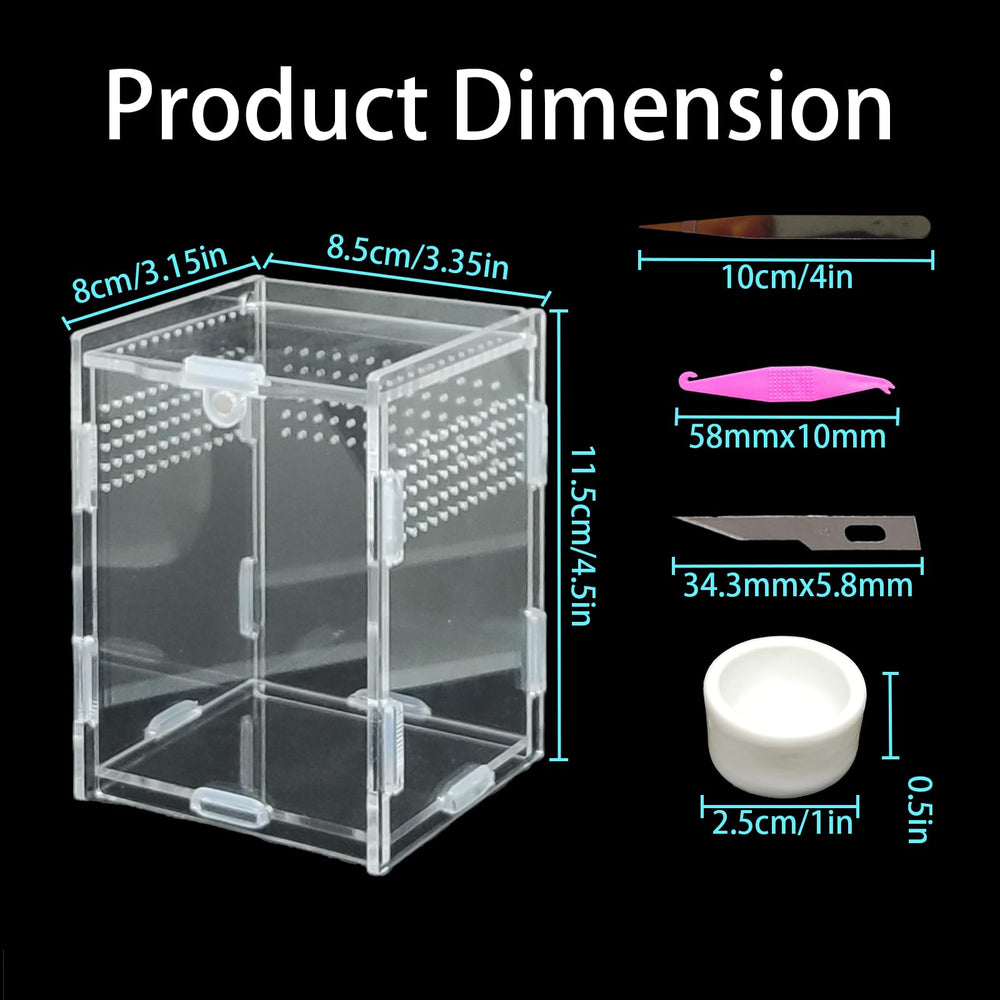 Totzlian terrario acrílico para aracnidos arbóreos, ideal para exhibición y observación cercana.