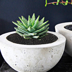 TOYPOPOR piedras lava negras para decoración del hogar y jardines