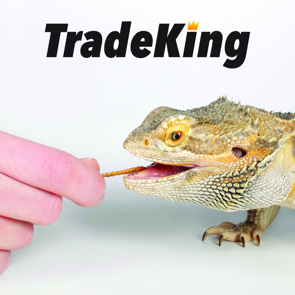TradeKing gusanos de harina secos para reptiles, snack para terrarios.