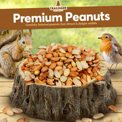 Trailmark Naturals cacahuates crudos sin cascara para aves del jardín, alimento popular.