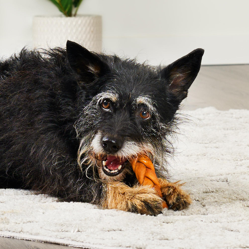 Treatly piezas masticables para perros pequeños, sabor pollo, recompensa segura.