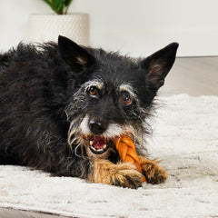 Treatly piezas masticables para perros pequeños, sabor pollo, recompensa segura.