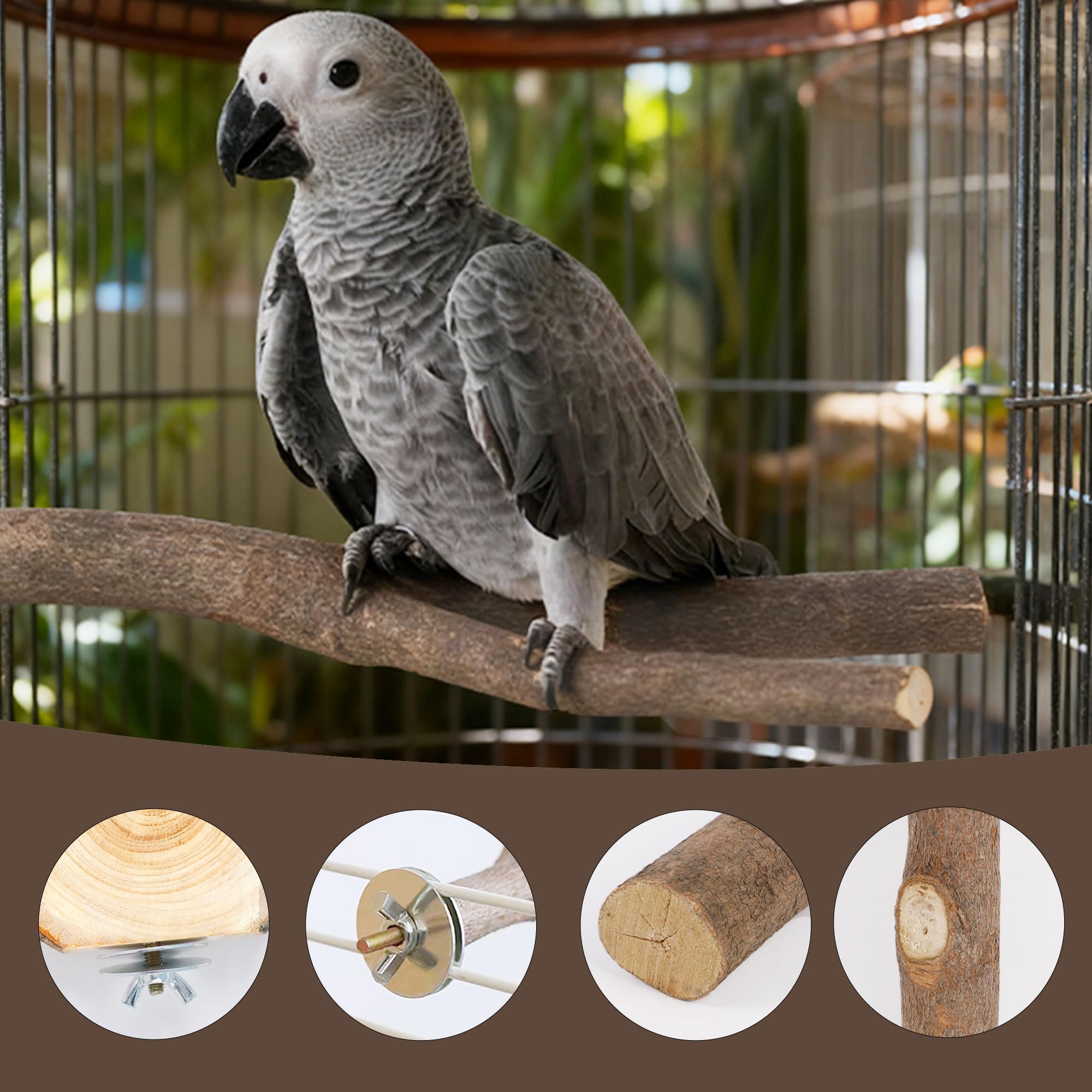 Treewoll abedul para aves plataformas naturales para descansar.