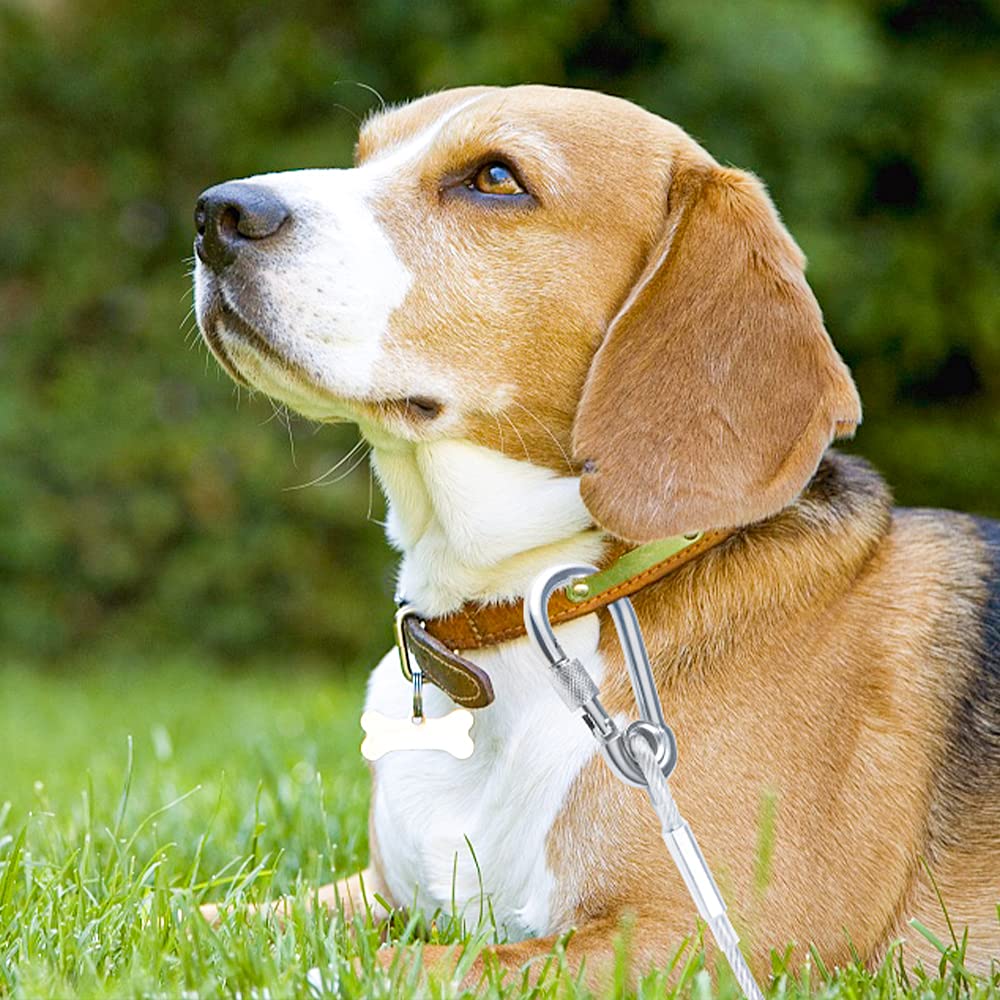 Cable robusto de Tresbro para perros de hasta 250 libras