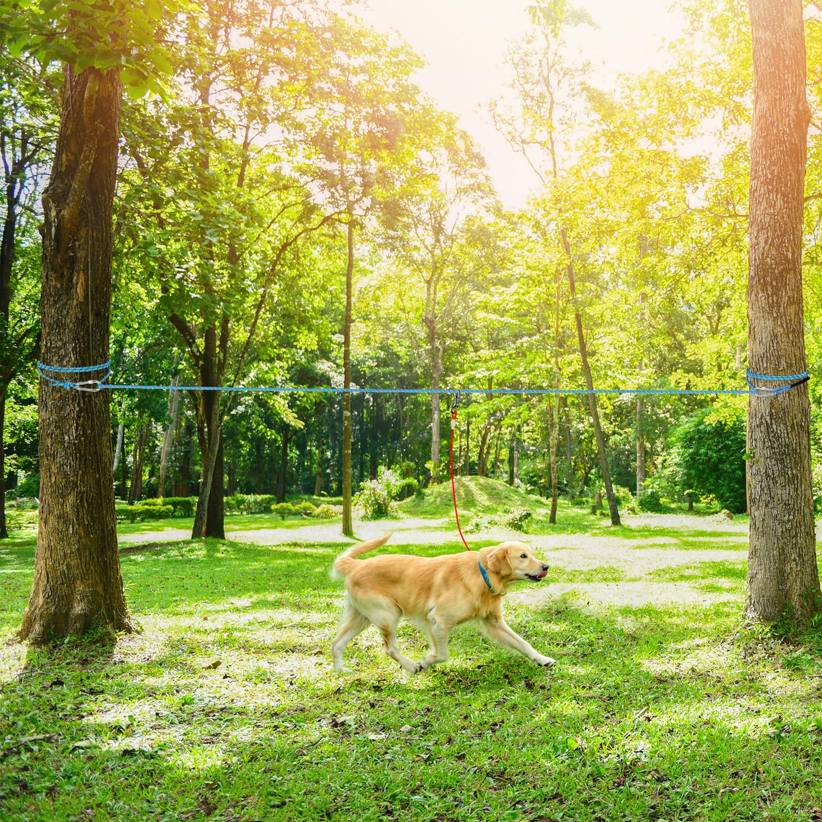 Tresbro cuerda reflectiva para perros, mejora la visibilidad nocturna.