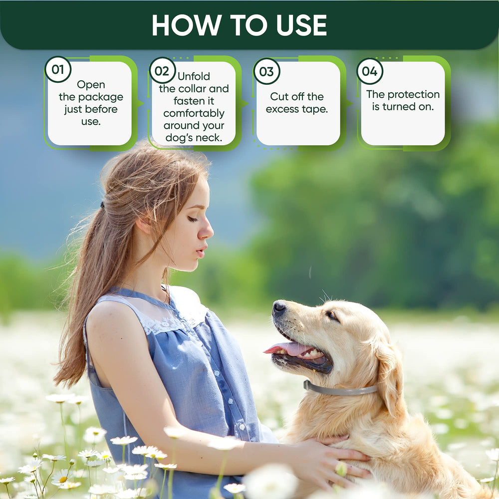 TriOak collar de seguridad y comodidad para perros activos.