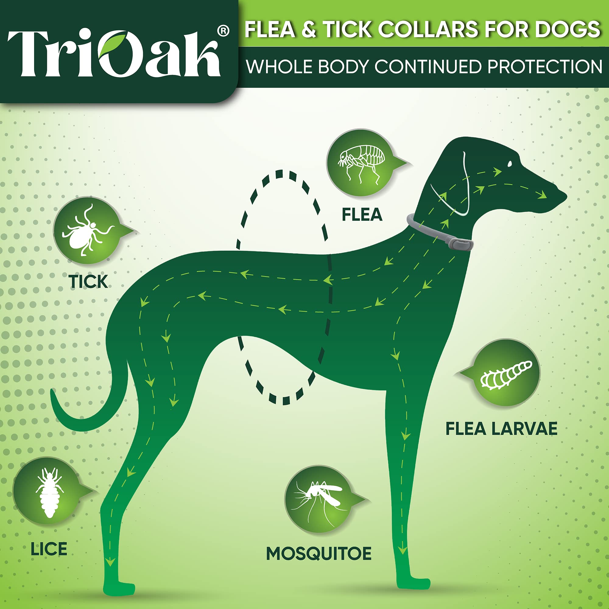TriOak collar natural con aceites esenciales para perros y piel suave.