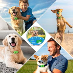 Trihood sistema acoplable para collar, fácil de usar.