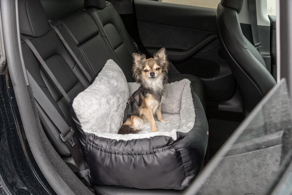 TRIXIE Convertible Lite: ventana elevada para observar el paisaje durante el trayecto
