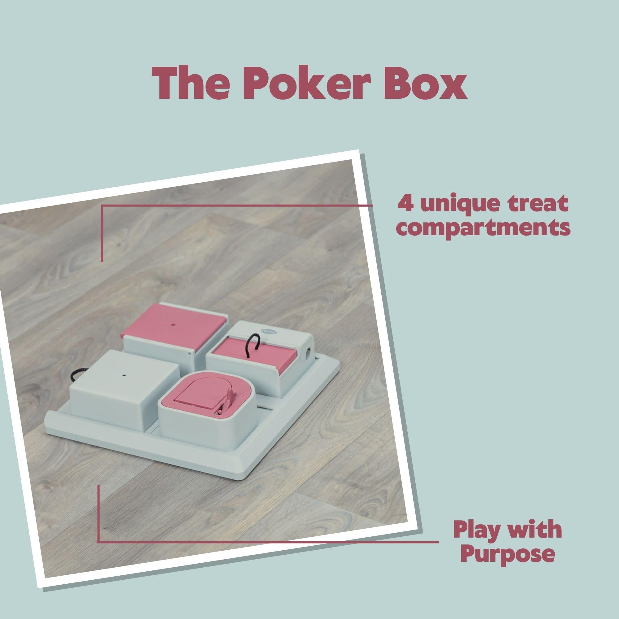 TRIXIE Poker Box apta para gatitos, adultos y mayores, mantiene mentes activas en cada etapa.