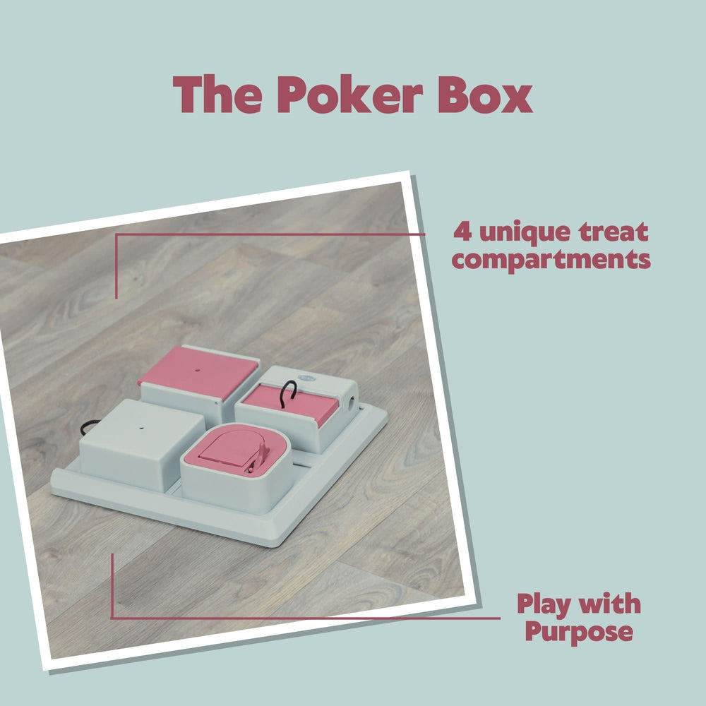 TRIXIE Poker Box apta para gatitos, adultos y mayores, mantiene mentes activas en cada etapa.