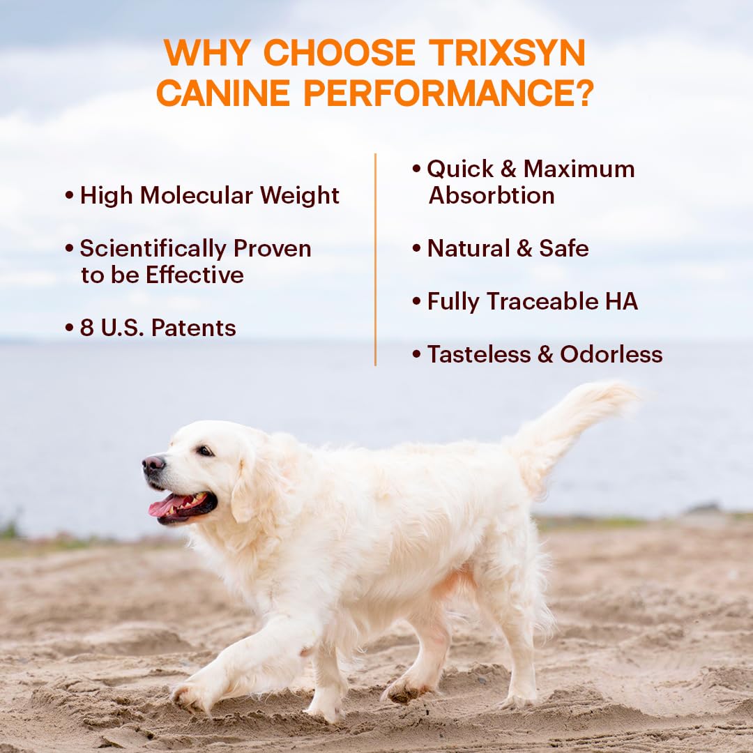 TRIXSYN Canine Performance: astaxantina para recuperación post ejercicio y soporte de tejidos blandos.