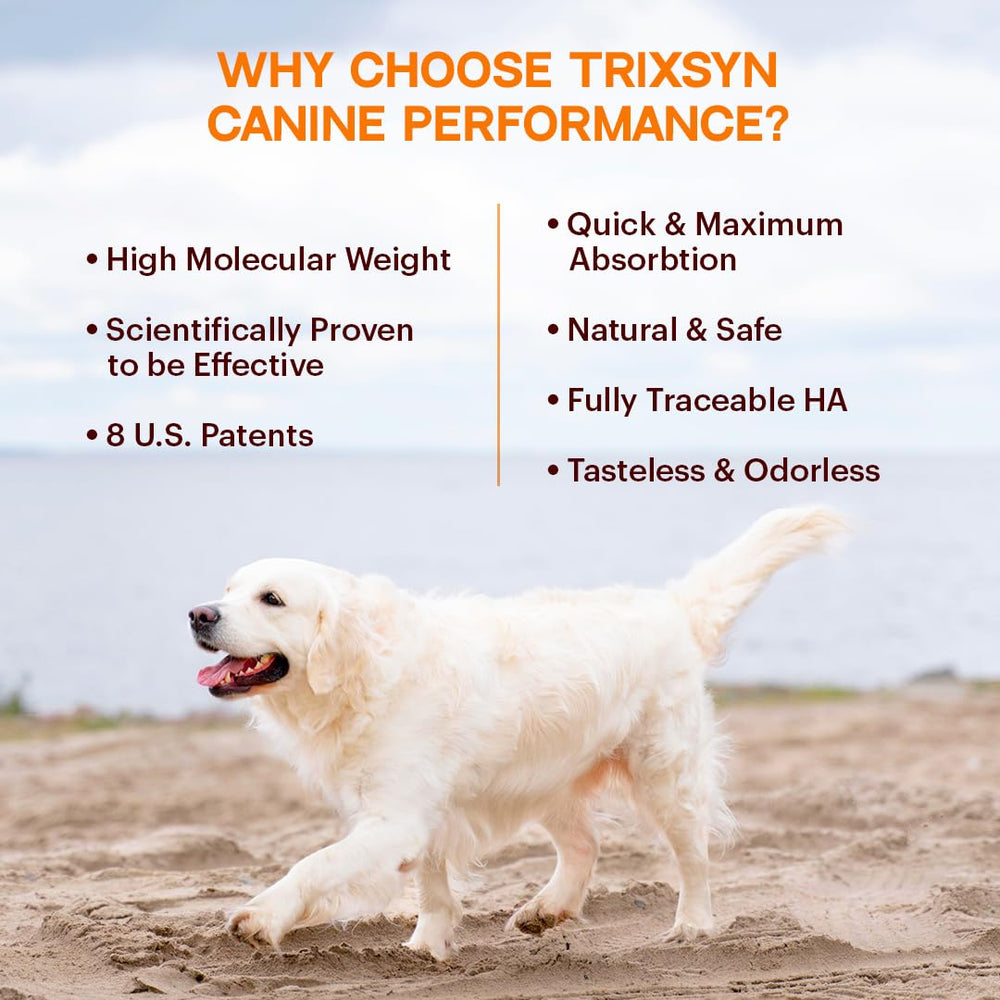 TRIXSYN Canine Performance: astaxantina para recuperación post ejercicio y soporte de tejidos blandos.