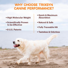 TRIXSYN Canine Performance: astaxantina para recuperación post ejercicio y soporte de tejidos blandos.