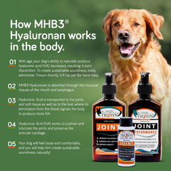 Dosis diaria de TRIXSYN Canine para perros mayores.