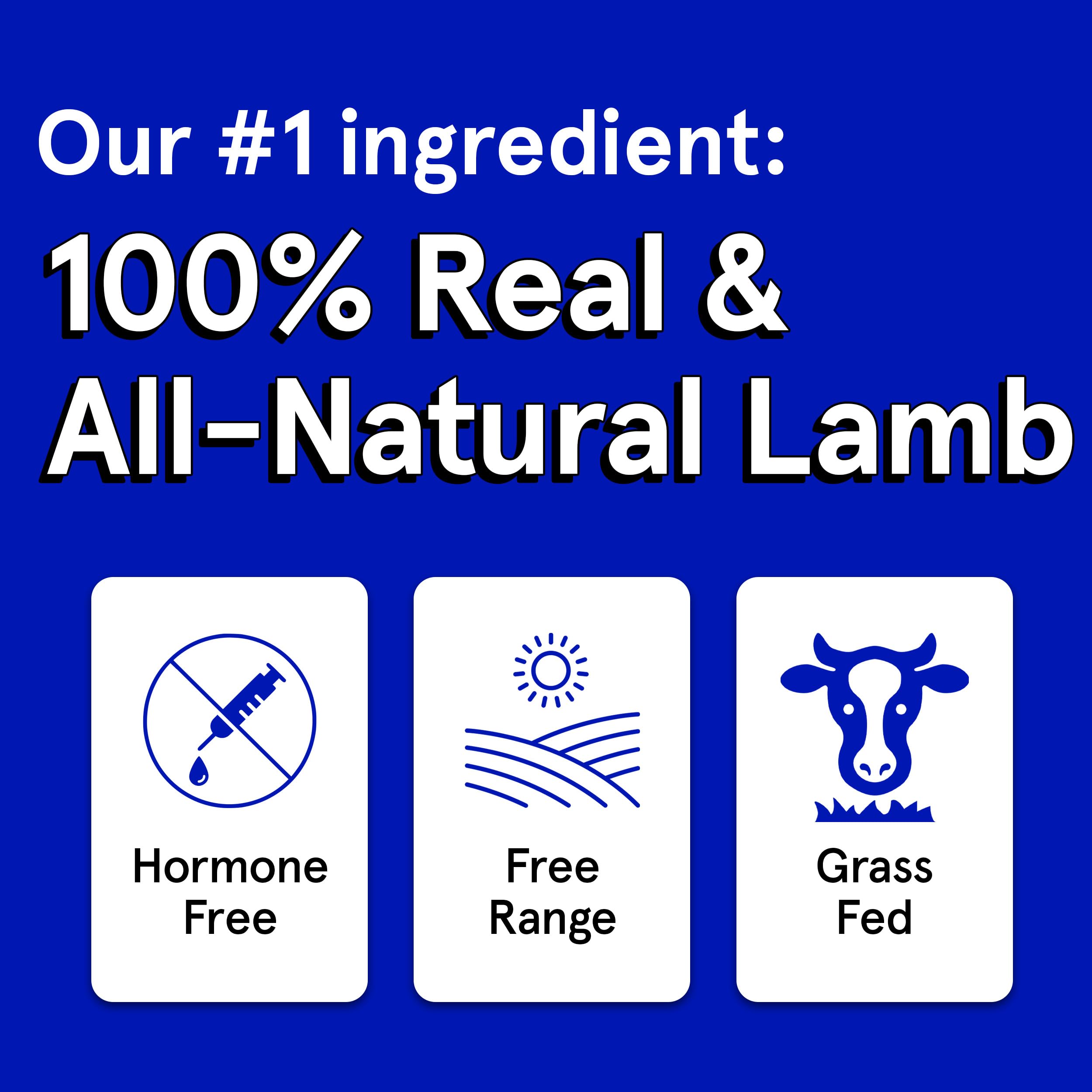 TRMC Real Meat: jerky de cordero sin granos, snack sabroso y digerible.