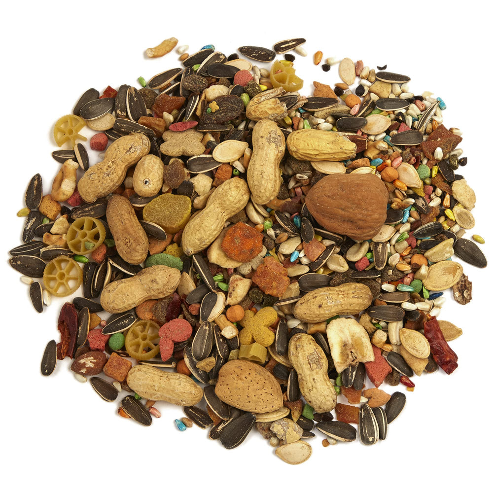 Nueces y frutos secos en Tropical Carnival para loros grandes