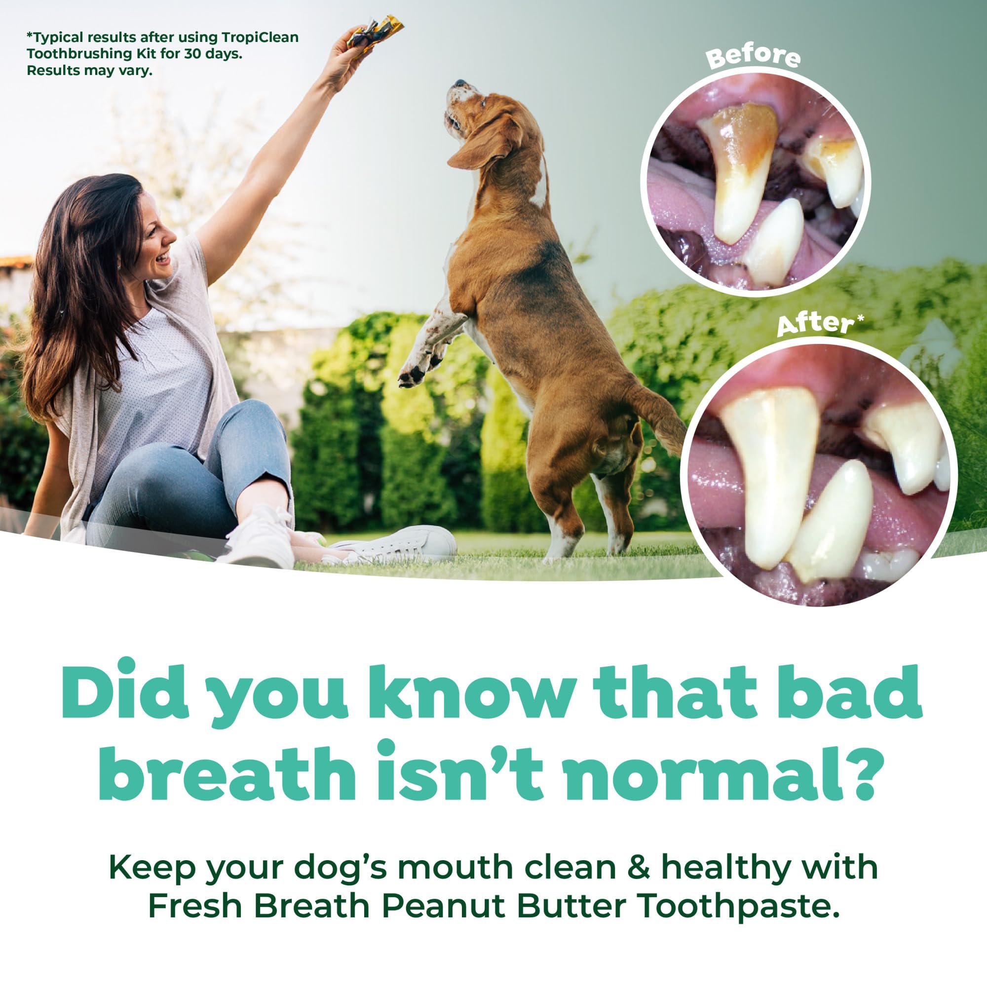 TropiClean Fresh Breath aporta aliento fresco y limpieza dental en casa.