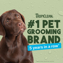 TropiClean aplicación de gotas en oreja de gato para limpieza segura.