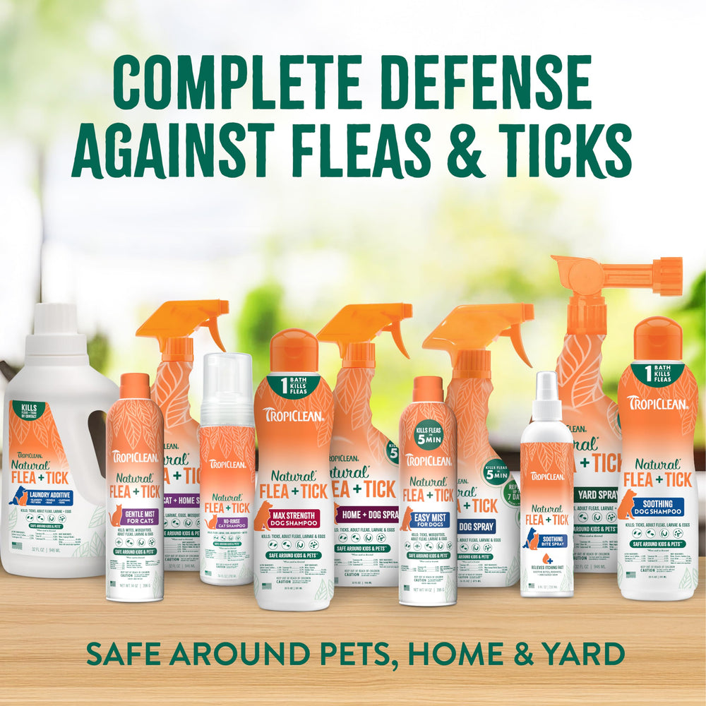 TropiClean aroma cítrico champú para perro con fragancia duradera.