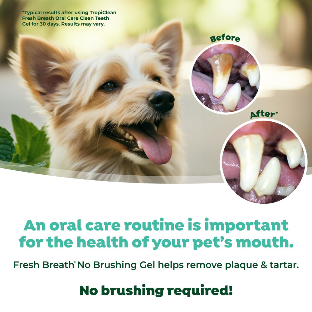 TropiClean conjunto de productos de aliento para perros para completar la rutina.