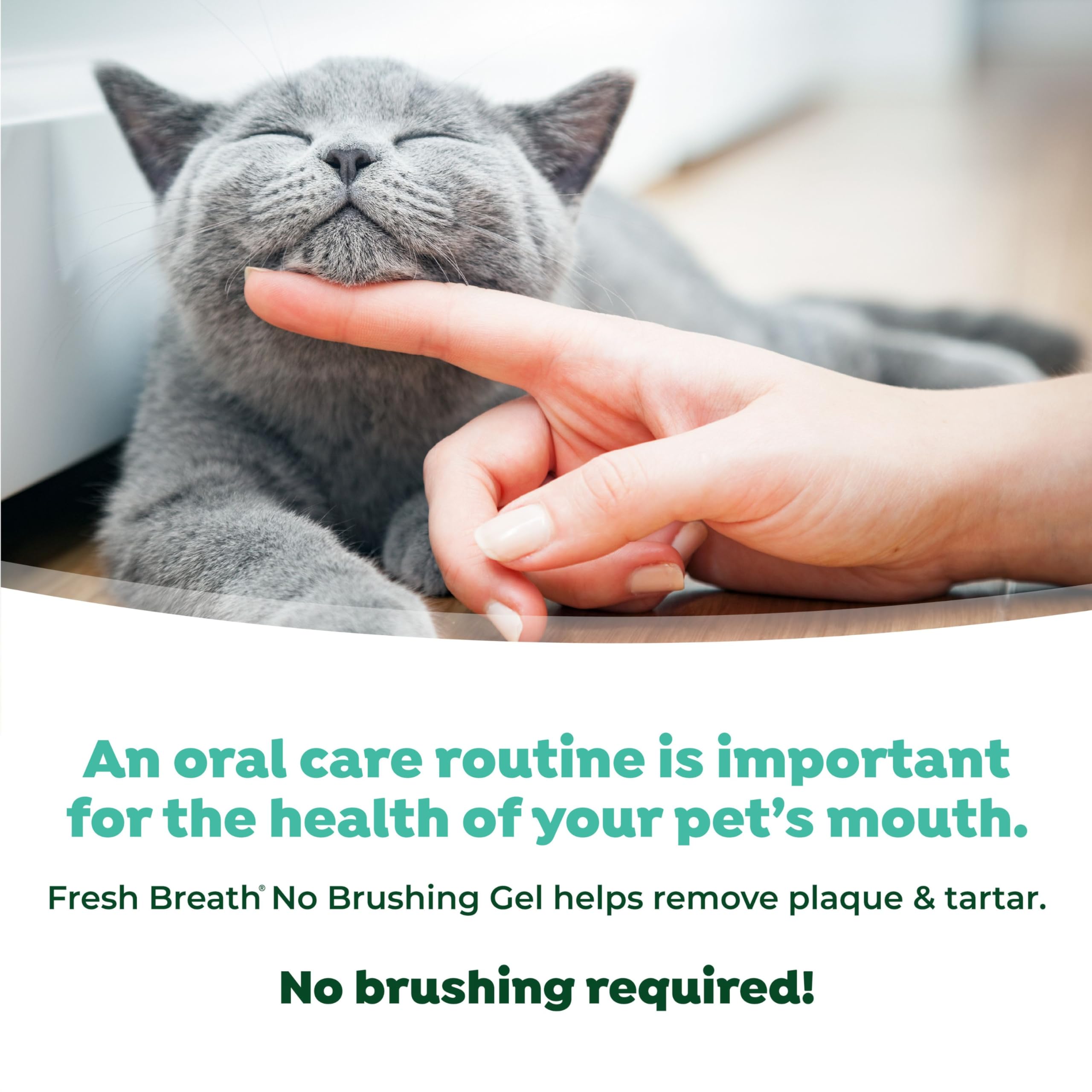 Cuidado bucal de gatos con Tropiclean pasta dental suave.