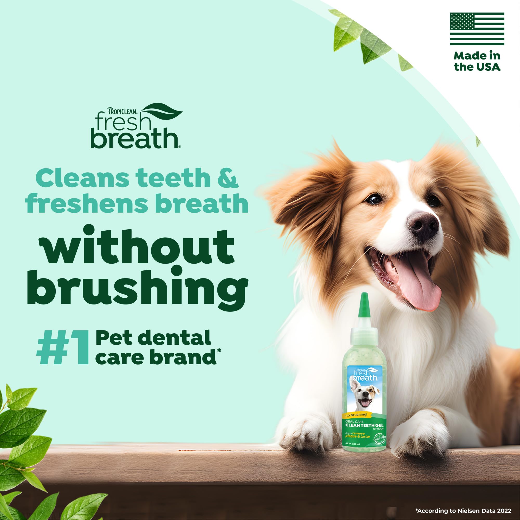 Gel TropiClean sin cepillado aplicado en dientes de perro.