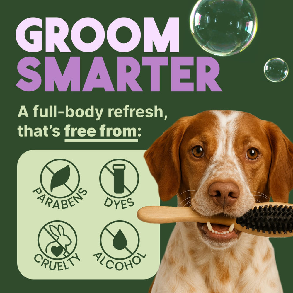 TropiClean acondicionador para perros, aroma kiwi cacao, deja olor fresco