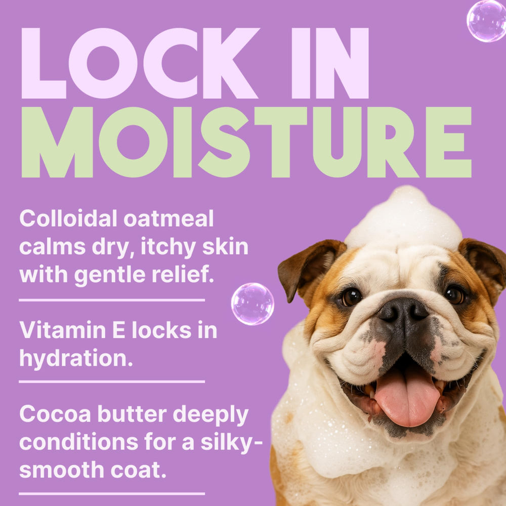 TropiClean acondicionador para perros, pelaje suave y brillante tras uso