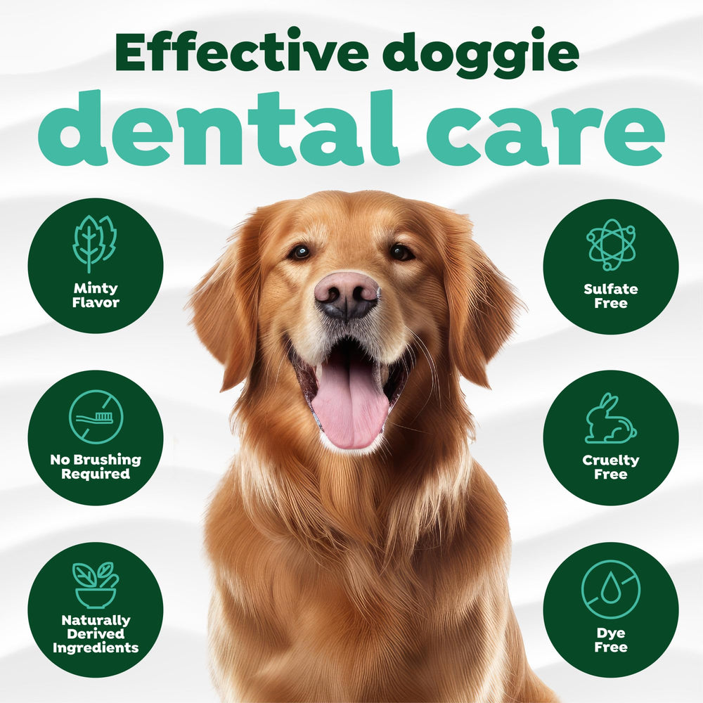 TropiClean perro lamiendo gel dental demuestra acción rápida al cubrir dientes y encías.