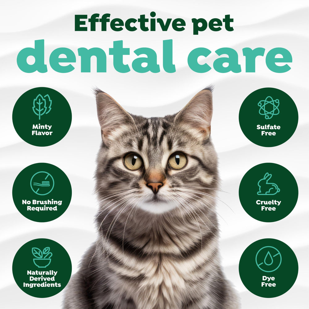 Tropiclean controla placa y sarro en gatos para higiene bucal.