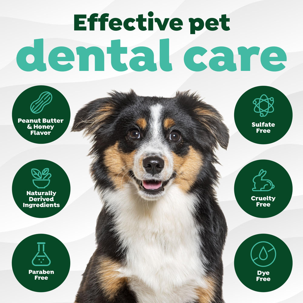Rutina dental diaria para perros con TropiClean
