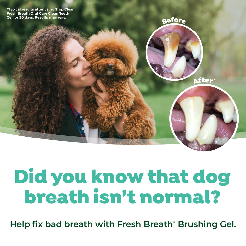 TropiClean uso diario de cepillado dental para cachorros facilita hábitos saludables